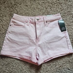 High Rise Denim Shorts